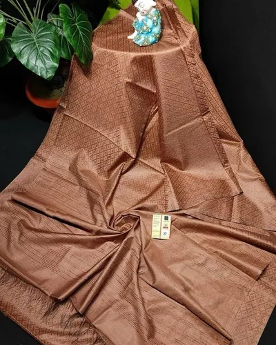 Luxurious Katan Silk Saree with Intricate Self-Weaving
