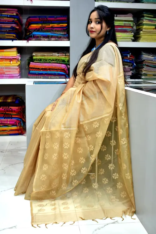 Regal Cutwork Semi Tassar Saree