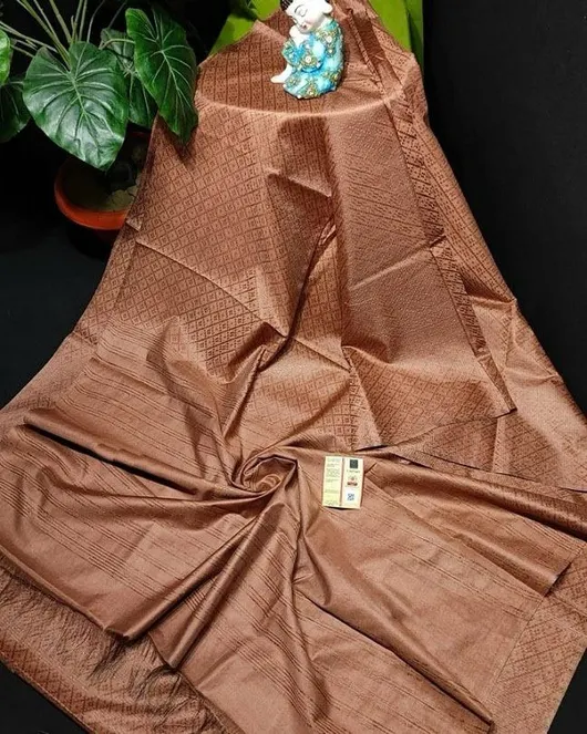 Luxurious Katan Silk Saree with Intricate Self-Weaving