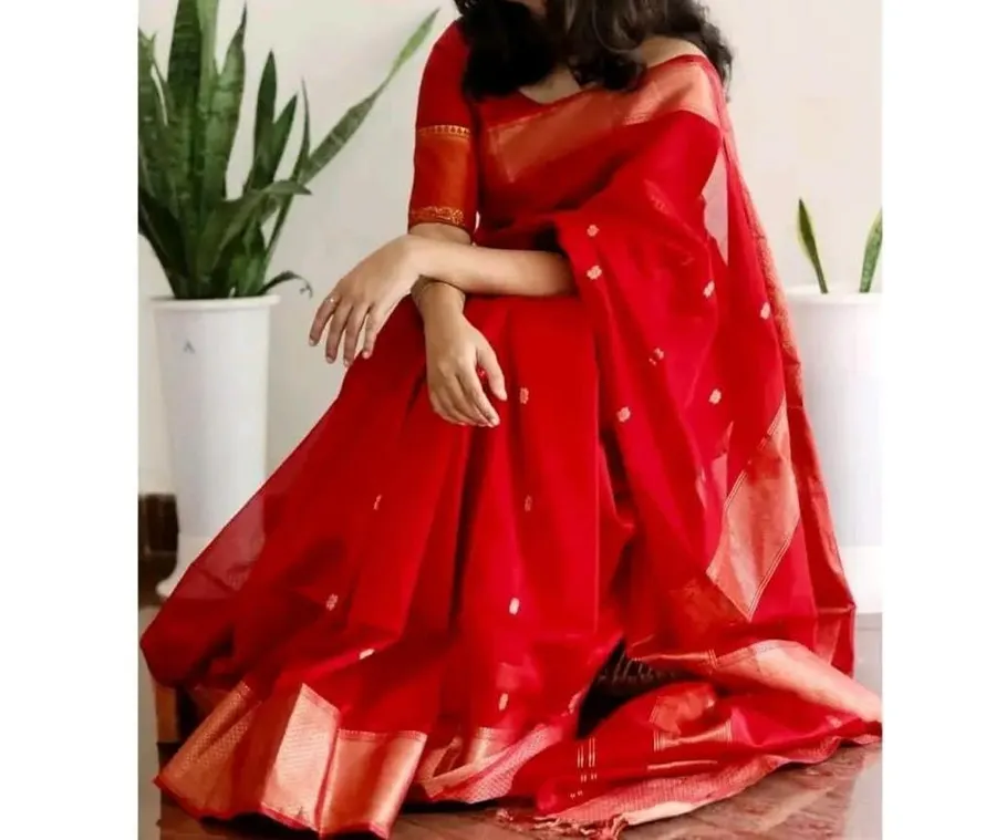 Elegant Premium Maheshwari Silk Saree