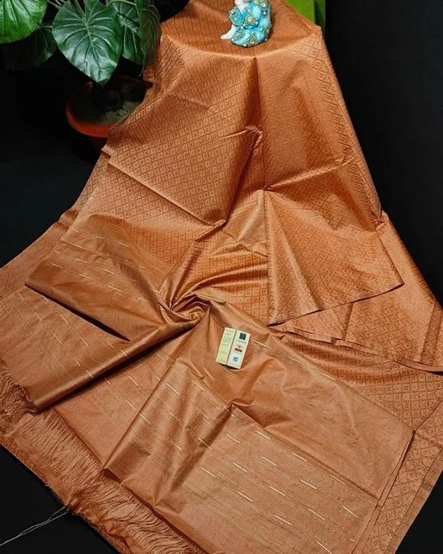 Luxurious Katan Silk Saree with Intricate Self-Weaving