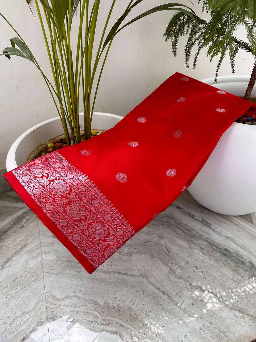 BANARASI SILK DYED SAREES