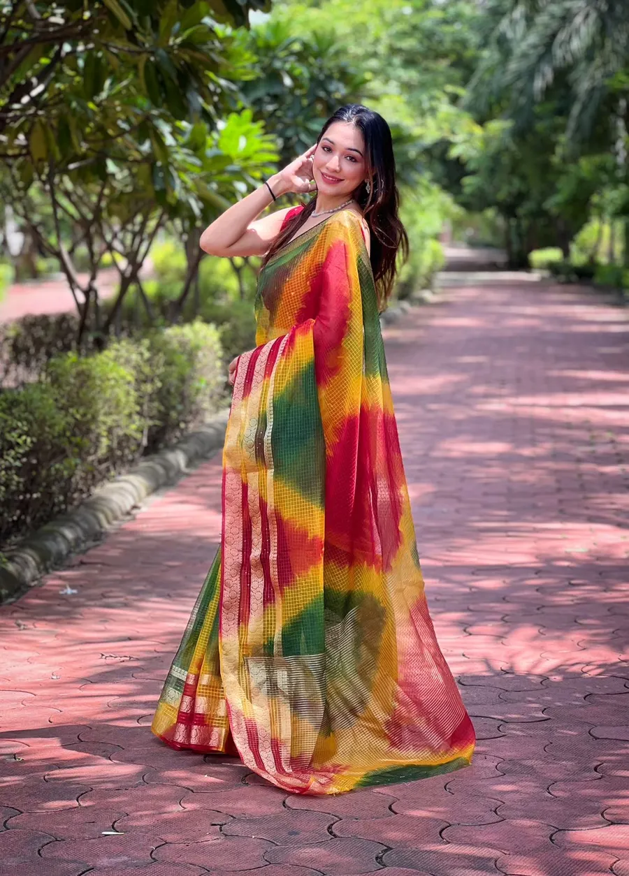 Branded Pure Soft Organza Checks Saree with Batik Print & Jacquard Border – Elegance with Sequin Sparkle